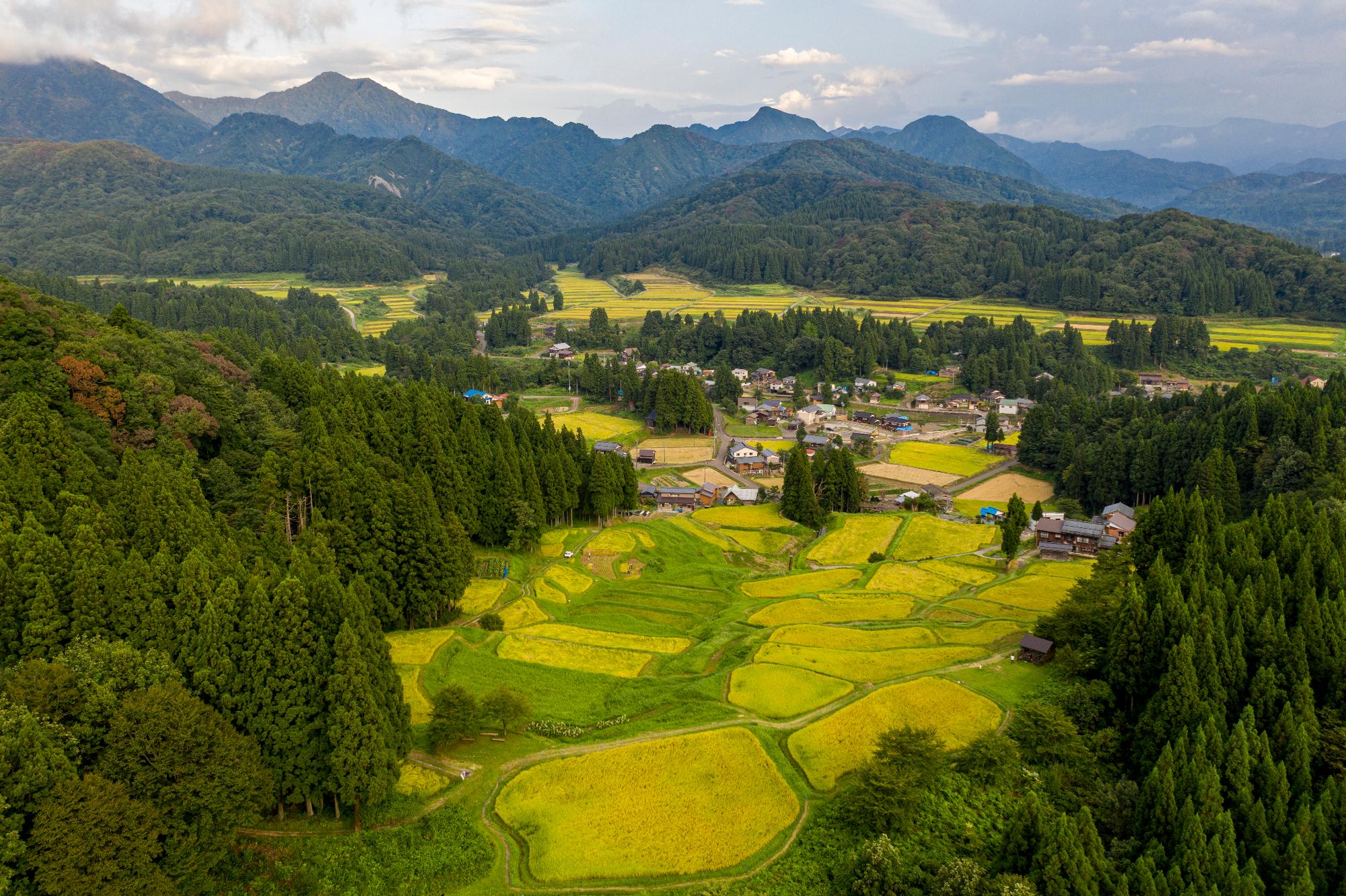 北五百川の棚田