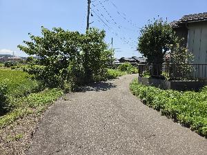 周辺画像