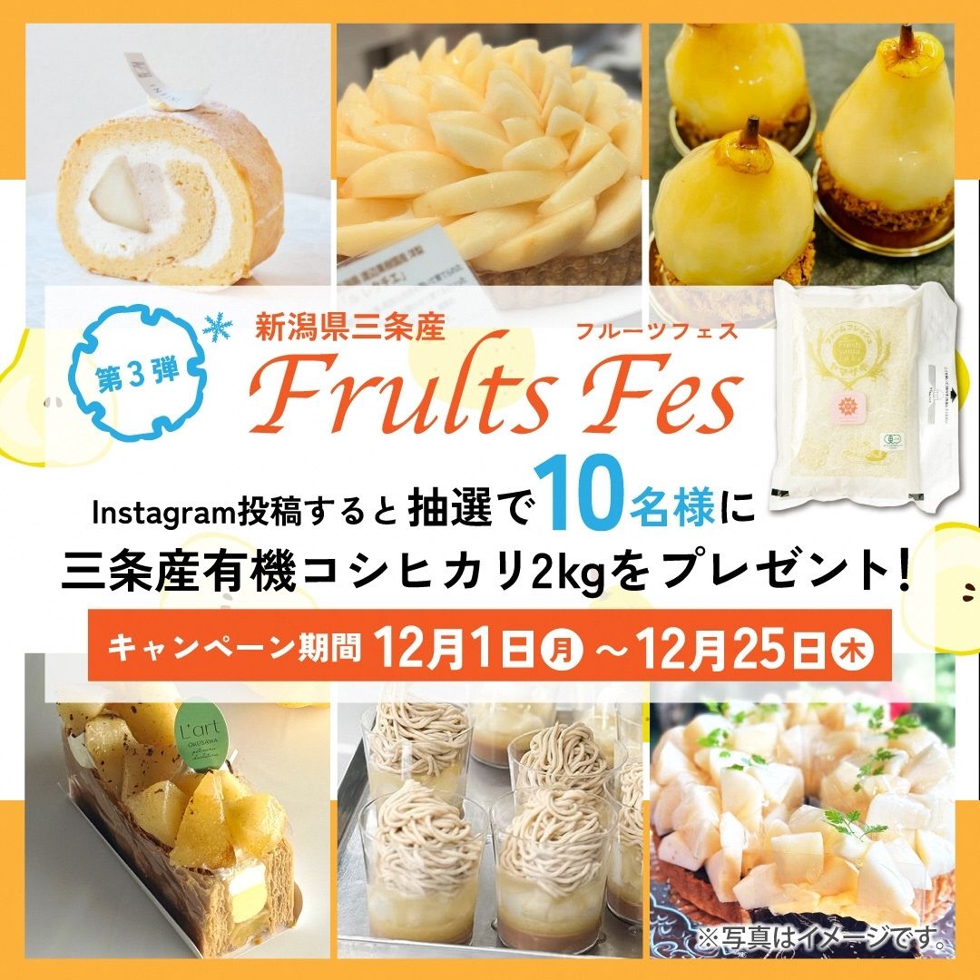 第3弾ル レクチエ