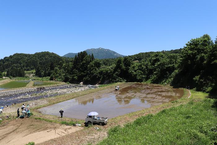 田んぼ