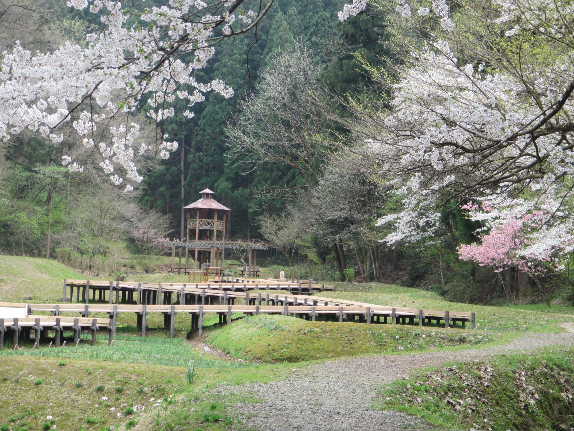 しらさぎ森林公園遊歩道