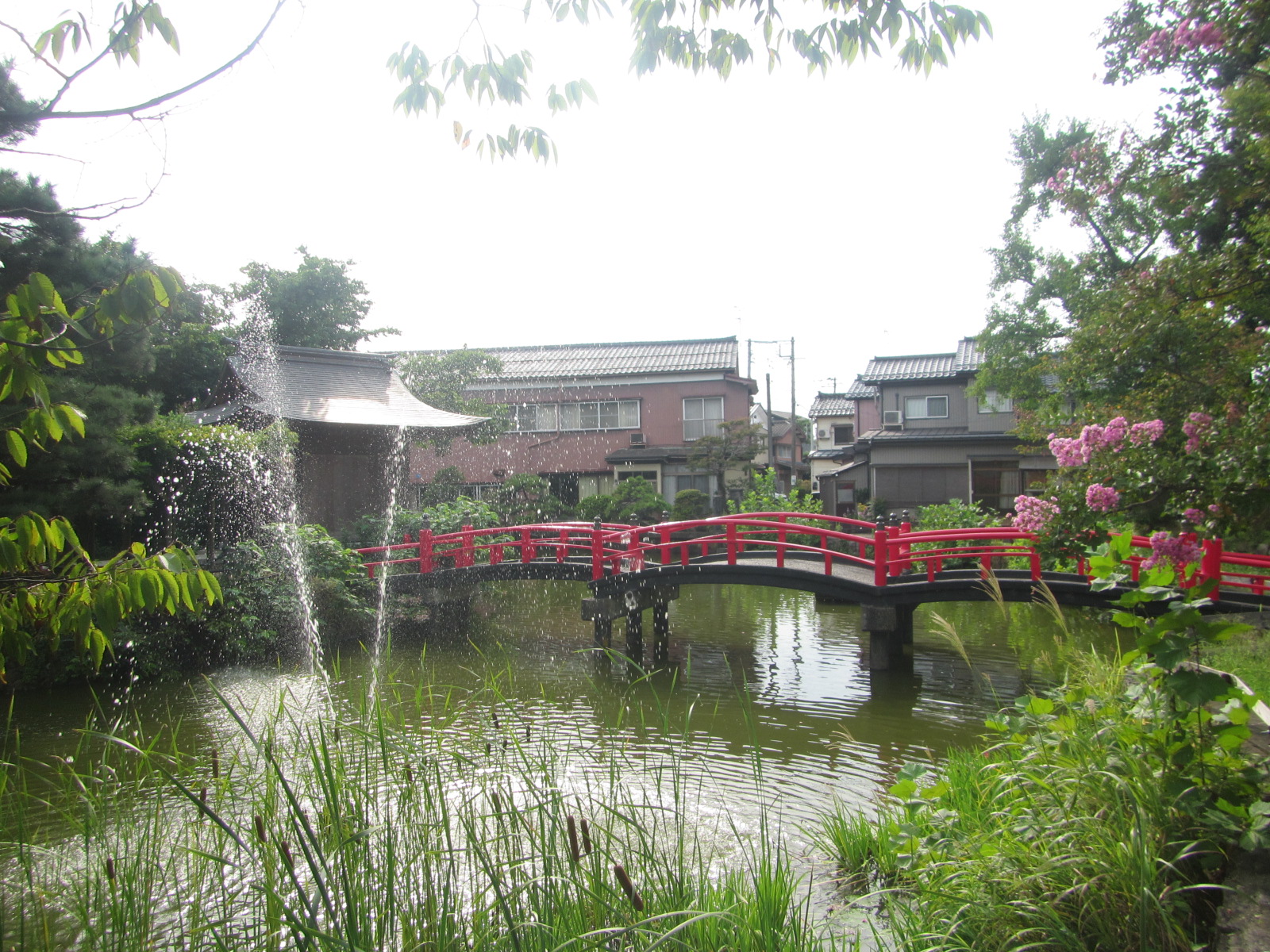 八幡公園池