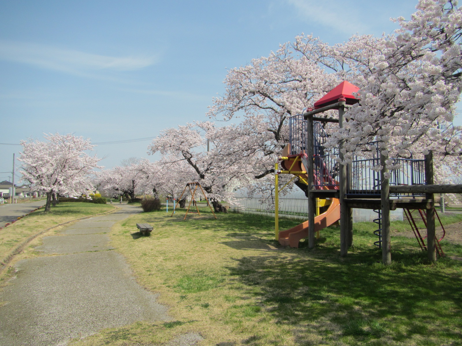 柳川緑地全景4月