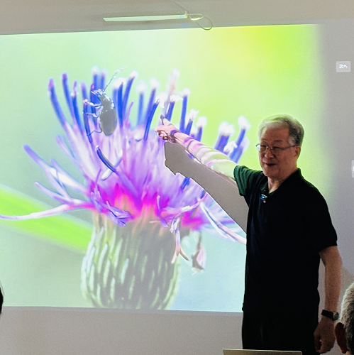 イベント三条市自然発見画像