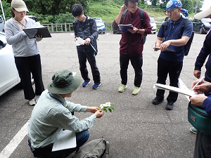 6月10日の主催研修会の様子