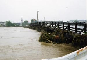 流木が橋にせき止められ、今にも氾濫しそうな一新橋の様子の写真
