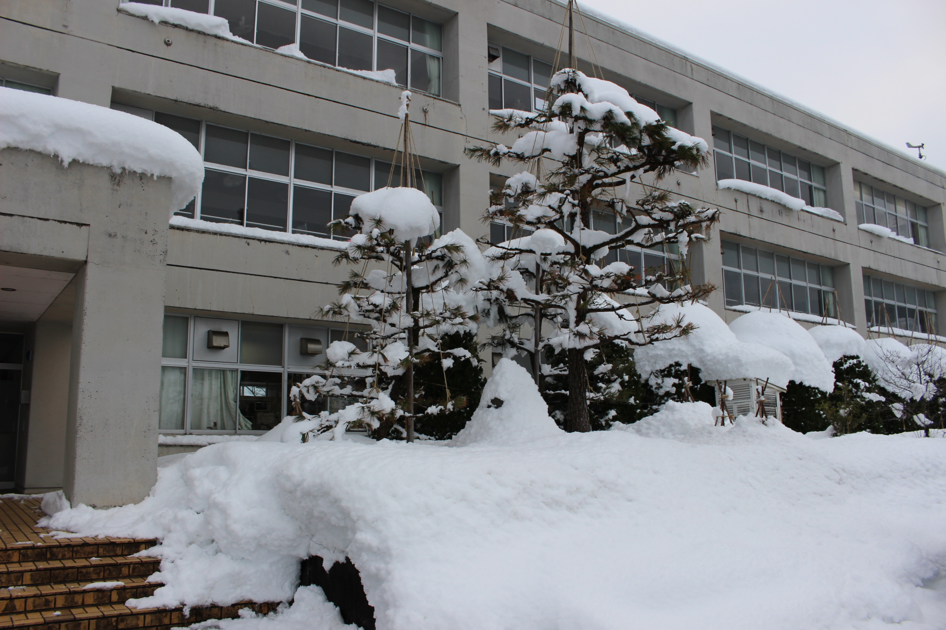 三田市立広野小学校